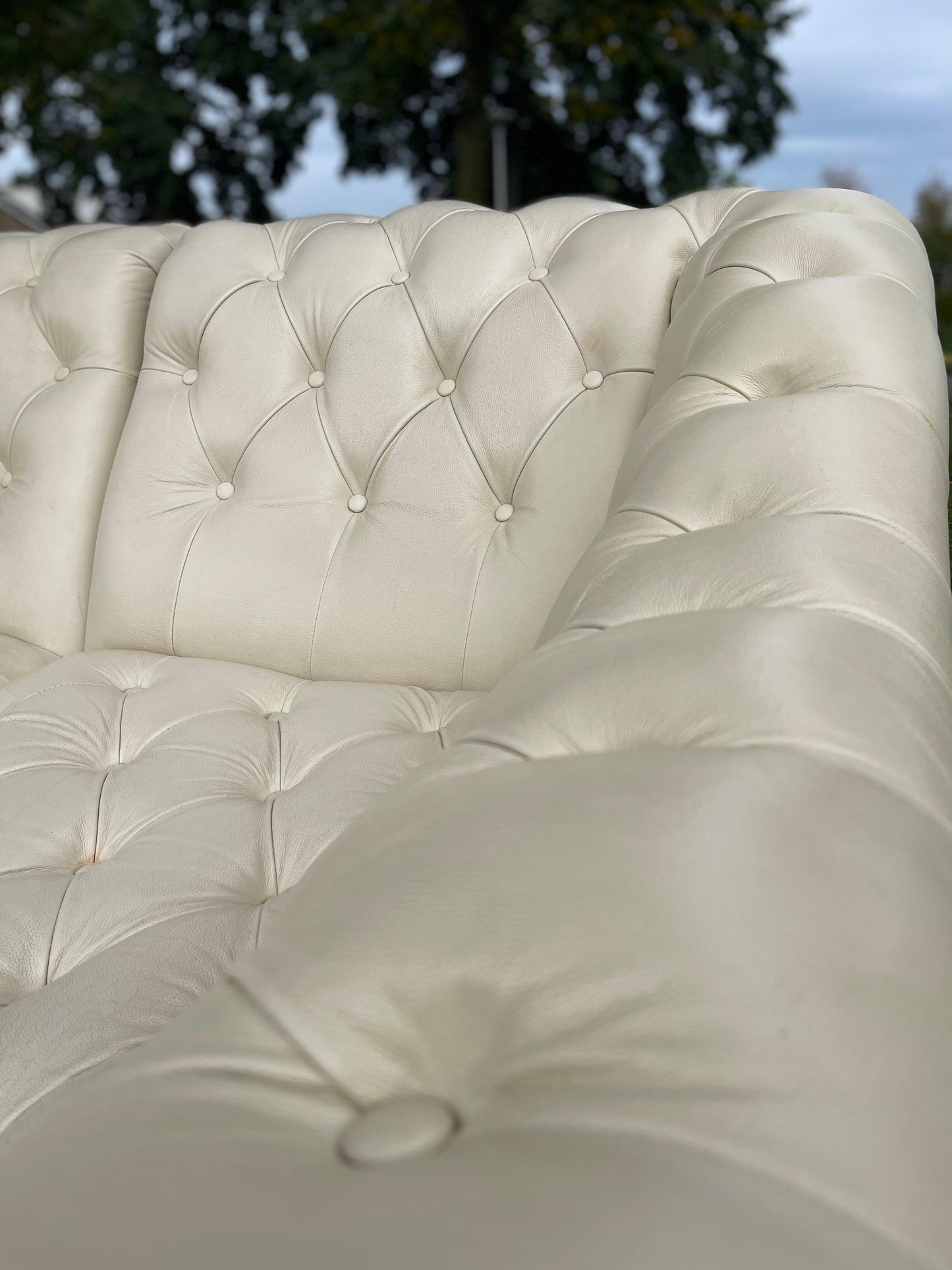 GRATIS LEVERING HEEL BENELUX + DACH Chesterfield Echt Leer Chaise Lounge